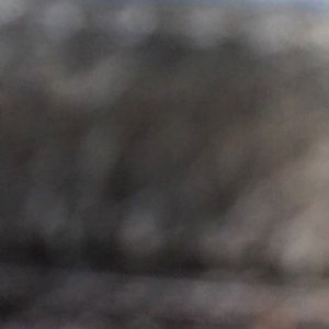 Meet your Posher, Barbi